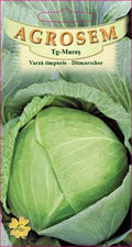Early cabbage - Ditmarscher