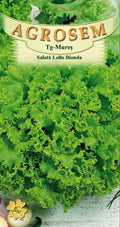 Lollo Bionda lettuce