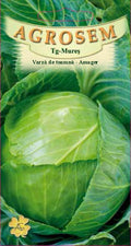 Autumn Cabbage - Amager