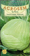 Őszi káposzta - Brunswick
