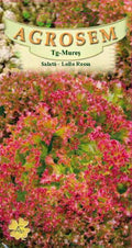 Tépősaláta – Lollo Rossa
