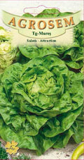 Salad - Attraction
