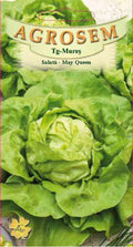 Saláta - May Queen