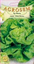 Lettuce - White Boston