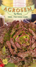 Salad - Four Seasons Wonder