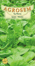 Spinach - Matador