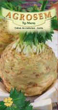 Celeriac - Anita