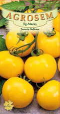 Yellow Tomatoes - Golden Konight
