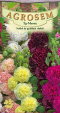 Double hollyhock