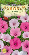 Mallow - lavatera