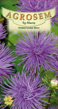 Harz Blue Oxeye