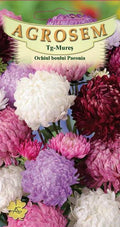 Paeonia Anemone-Flowered