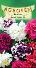 Trailing Pendula Petunia Polka F2
