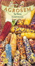 Ornamental corn