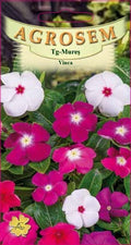 Periwinkle