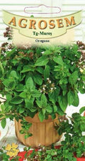 Oregano
