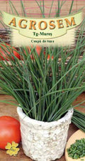 Spring onion
