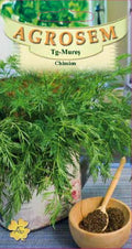 Cumin