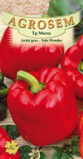 Bell Pepper - Yolo Wonder