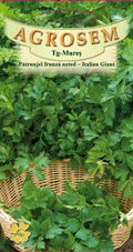 Parsley flat leaf - Italian Giant