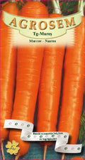 Nantes 2 Carrot