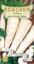 Parsley Root Berliner 2