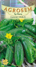Cucumber - Libelle F1