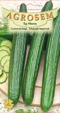 Long cucumbers - Telegraph Improved
