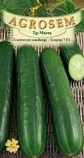 Half-long cucumbers - Gemini F1