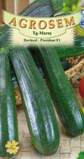 Zucchini - President F1
