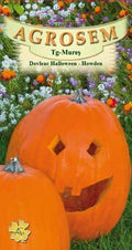 Pumpkin Halloween-Howden