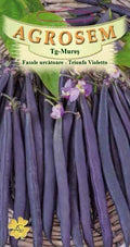 Climbing Bean -Trionfo Violetto