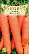 Carrot - Danvers