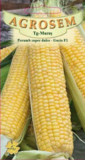Super Sweet Corn - Gucio F1