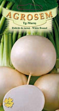 Winter Radish-White Round