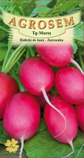 Radishes - Jutrzenka