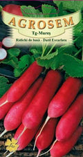 Radish-Datil Escarlata