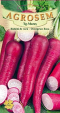 Summer Radish - Ostergruss Rosa