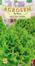Green Lettuce - Gentilina