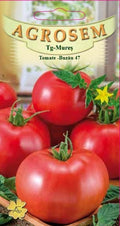 Tomato-Buzau 47