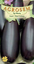Eggplant-Crow's Feather