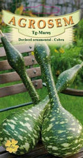 Ornamental squash - Cobra
