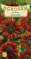 Red sunflower