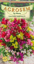 Snapdragon Trailing F1