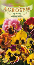 Rococo pansies