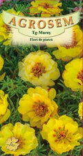 Yellow double rock flowers