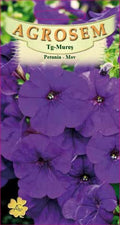Purple petunia