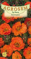 Orange stone flowers