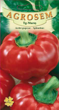 Bell Pepper - Splendens