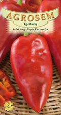 Long Pepper - Kapia Kurtovska